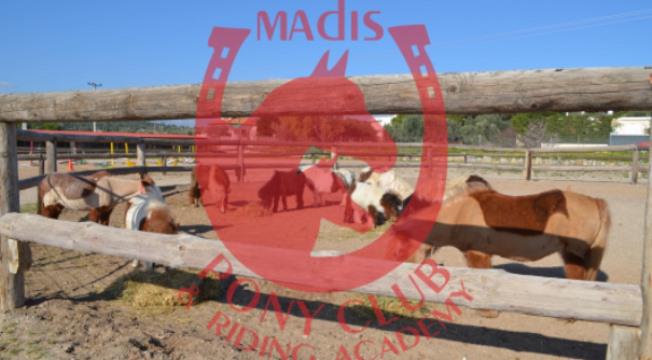 Madis Pony Club & Riding Academy (σχολή ιππασίας) στην Αρτέμιδα