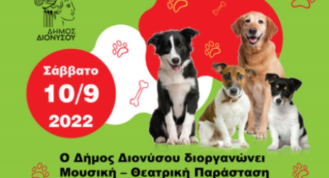 Δήμος Διονύσου : Σκύλος στον δρόμο – Παράσταση