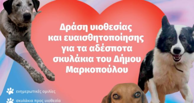 Μαρκόπουλο : Δράση υιοθεσίας για τα αδέσποτα σκυλάκια